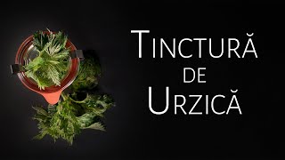 Tinctura de urzică tratează mătreața căderea părului dermatite anemia prostatita hipertensiune [upl. by Reehsab]