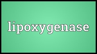 Lipoxygenase Meaning [upl. by Romelda]