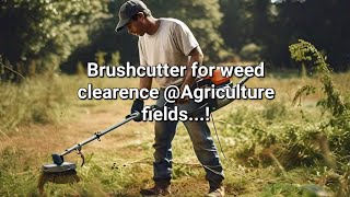 Brush cutter usage for weed clearence in agriculture field brushcutteragritoolsshortsfeed [upl. by Aretahs]