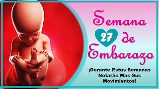 ❤️ SEMANA 27 DE EMBARAZO🤰 ❤️ ⏩ EMBARAZO SEMANA A SEMANA ⏩ Desarrollo y Evolución del Bebé 👶🏻 [upl. by Fleeta]