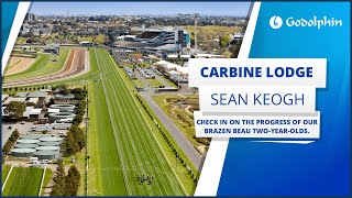 🇦🇺 Godolphins Brazen Beau twoyearolds Exclusive interview with Senior Foreman Sean Keogh [upl. by Ettigirb24]