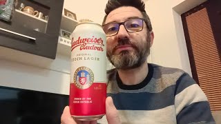 Pivo BUDWEISER BUDVAR  Recenzija [upl. by Arem]