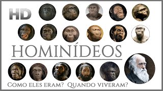 HOMINÍDEOS  Reconstruções Faciais Fósseis Idade e Tamanho Comparado ♪ [upl. by Enitsua]