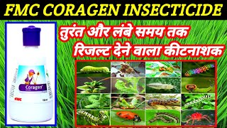 Coragen insecticide  fmc  Chlorantraniliprole185SC Coragen insecticide price dose work result [upl. by Allemaj]