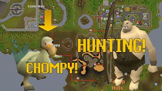 How to An Easy Guide To Big Chompy Bird Hunting For The Western Provinces Diaries Easy  Elite [upl. by Ahsitan]