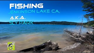 Jenkinson Lake  Sly Park Summer Bass Fishing Northern California 2019 [upl. by Sabrina]