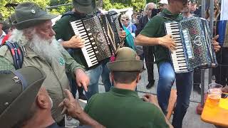 Luva fogarina La Valsugana Marina Alpini in festa Parco Sempione Milano 2019 [upl. by Ancel13]