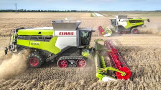 2X CLAAS 8700TT à laction en FRANCE  2021 HARVEST [upl. by Nimaj493]