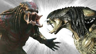 The ULTIMATE PREDATOR VS PREDALIEN [upl. by Stelle231]