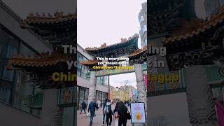 This is everything you should eat in Chinatown The Hague Netherlands 🇳🇱 Chinatown Netherlands [upl. by Emlynne]