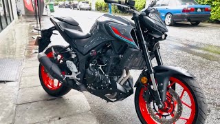 Yamaha MT25 2022  Grey  Walkaround [upl. by Sirad389]