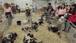 Foire agricole Ettelbruck 2023 [upl. by Auhso]