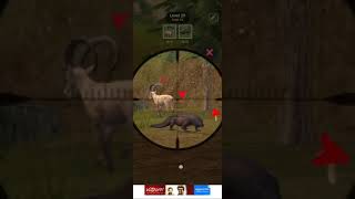 Animal Hunter Game Level 29 gaming tranding viralvideo [upl. by Kendal8]