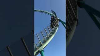 Emperor at Seaworld San Diego🐧🎢 travel rollercoaster amusementpark seaworld seaworldsandiego [upl. by Hsaka]