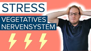 ⚡Stress und vegetatives Nervensystem  Ist das der Grund für deine Beschwerden [upl. by Enahc]