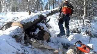 ATV Cutting wood in winter Part 23 [upl. by Nhguaval]