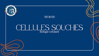 CELLULES SOUCHES  TUTO DU TUTO [upl. by Yoccm]