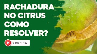 Rachadura no citrus  como resolver Confira [upl. by Dewie]