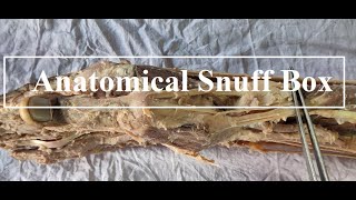 Anatomical Snuff Box Dissection [upl. by Enyamert]