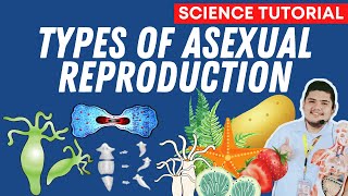 TYPES OF ASEXUAL REPRODUCTION  SCIENCE 7 QUARTER 2 WEEK 5 [upl. by Odlanyer182]