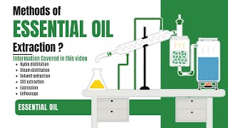 How essential oils are extracted from plants [upl. by Alaham]