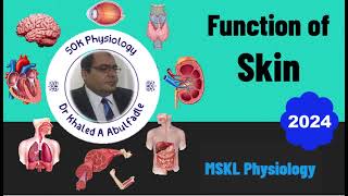 Function of Skin Skin Physiology 12024 by Dr Khaled A Abulfadle [upl. by Sven431]