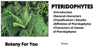 What is Pteridophytes Introductioncharacters classification  Affinities characters of classes [upl. by Leirrad]