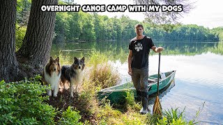 Overnight Canoe Camp With My Dogs [upl. by Chemosh290]