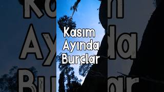 Kasım Ayında Burçlar shortvideo astroloji [upl. by Etnelav]