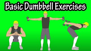 Basic Beginner Introductory Easy Dumbbell Workout Exercises For Beginners At Home At The Gym [upl. by Rehpitsirhc]