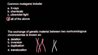 Ames Test for Mutagenicity Abridged [upl. by Aroon209]