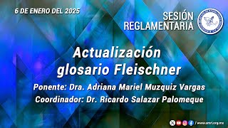 Actualización glosario Fleischner  Sesión Reglamentaria [upl. by Furey]