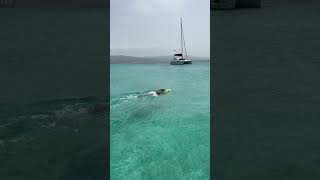 Seabob snorkeling at the beautiful DC Beach in MoBay beach beautiful jamaica seabob travel [upl. by Camila]