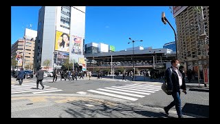 Tokyo Street View 4K  Shimbashi to Hamamatsucho March 2024 [upl. by Merci]