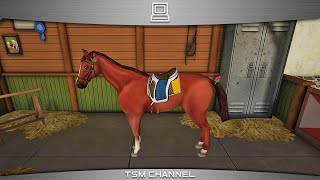 Horse World 3D  My Riding Horse part 8 Horse Game [upl. by Pich]