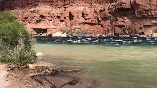 Lee”s Ferry Colorado River Rapids [upl. by Smitt579]