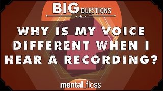 Why is my voice different when I hear a recording  Big Questions  Ep 207 [upl. by Sigfrid518]