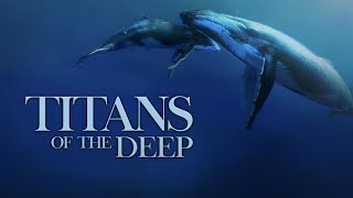 Titans of the Deep  Conquest of the Oceans  4K [upl. by Ahsimrac]