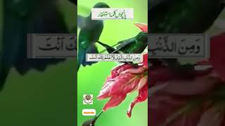 Panchwa Kalma Astagfar Arabic  Islamic Information islamicvibe shortsfeed utubeshorts shorts [upl. by Milman276]