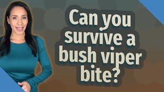 Can you survive a bush viper bite [upl. by Fawcett]