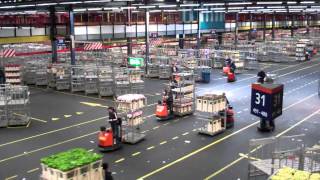 Topdrukte FloraHolland Aalsmeer  Rush hour Flower auction [upl. by Tamra623]