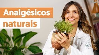 Como aliviar a dor com ANALGÉSICOS NATURAIS [upl. by Ynavoj]