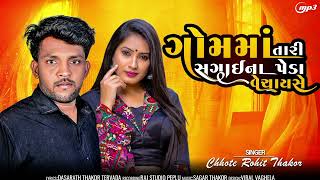 Godi tara gaam sagai peda Singer chote Rohit thakor new song 2024 [upl. by Nylavad]