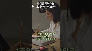 망각을 극복하는 효과적인 학습전략 망각 복습 학습 정보 기억 망각곡선 [upl. by Asamot]