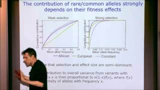 The Impact of Recent Human Demography on Deleterious Mutation Load and the Genetic [upl. by Yrollam]