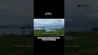 Keindahan Rawa Pening Ambarawa [upl. by Parthena]