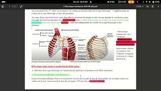 physiologie respiratoire mécanique ventilatoire [upl. by Yblocaj]