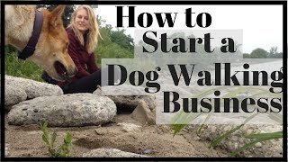 How to Start a SUCCESSFUL Dog Walking Business [upl. by Nnayd228]