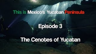 This is Mexicos Yucatan Peninsula  Episode 3  The Cenotes of Yucatan  in 4K UHD [upl. by Leela]