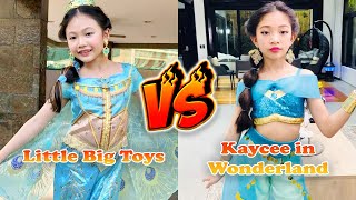 Little Big Toys VS Kaycee in Wonderland Transformation 👑 From Baby To 2024 [upl. by Baird]